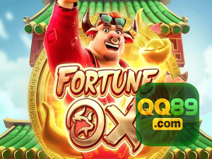 QQ89 login — painel de entrada no app oficial
